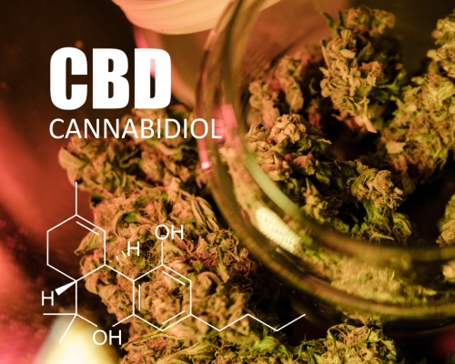 CBD Wiet Kopen of Roken? Alles Dat Je Moet Weten