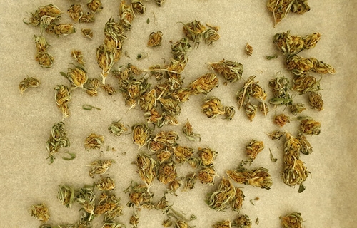 Decarboxylering - Zo krijg je (meer) THC in je Wiet Edibles!