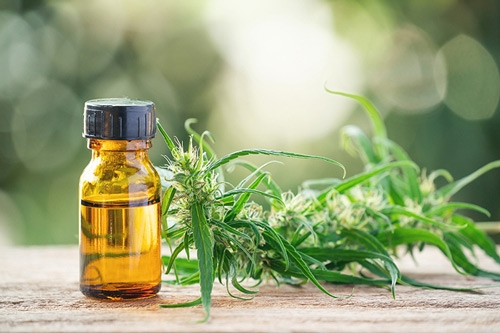 Welke CBD producten zijn er beschikbaar in onze shop
