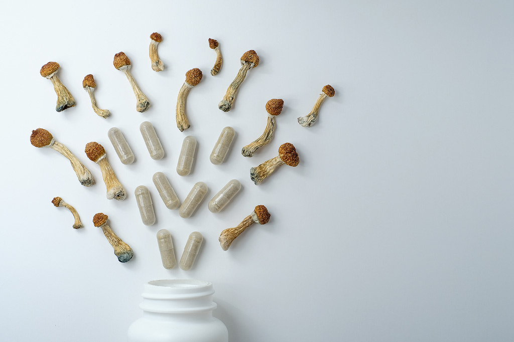 Microdosing Truffels toch zinnig, blijkt uit onderzoek